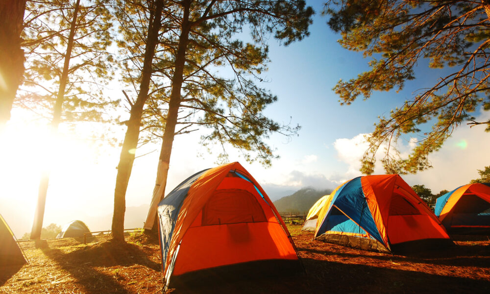 group of tents at a campsite