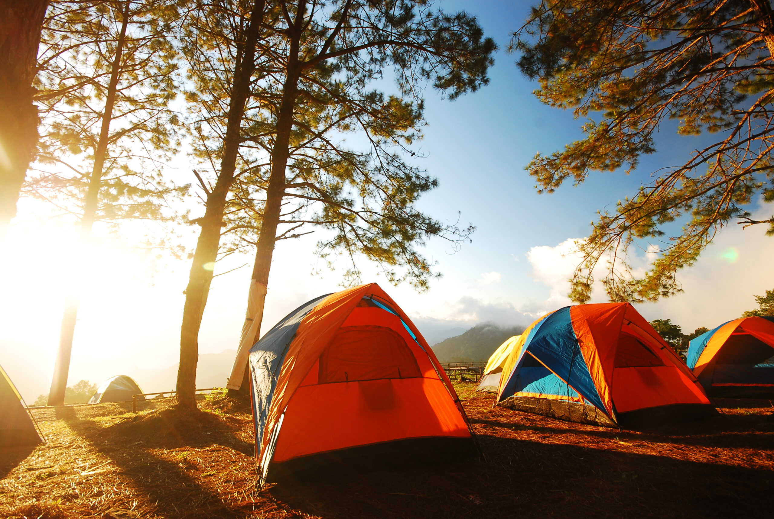 group of colorful tents at a campsite